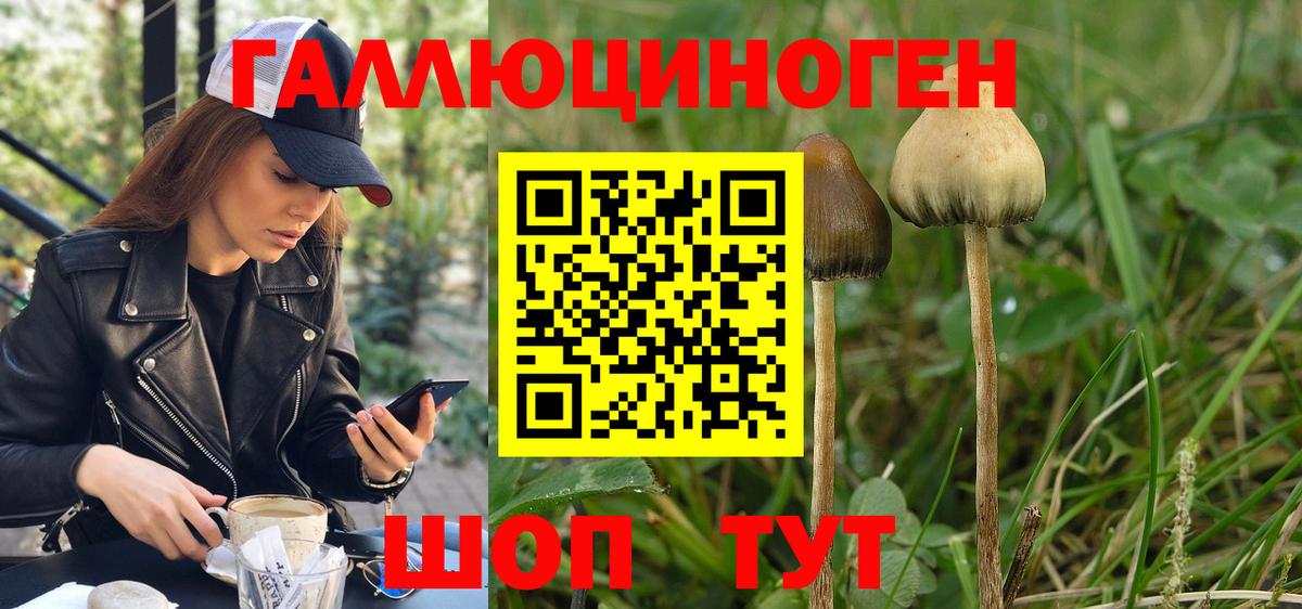 Псилоцибиновые грибы MAGIC MUSHROOMS Волгодонск
