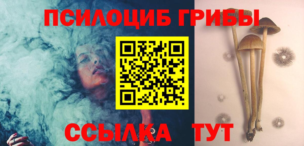 Волгодонск  Галлюциногенные грибы мицелий  Вход с VPN  Псилоцибиновые грибы ЛСД 